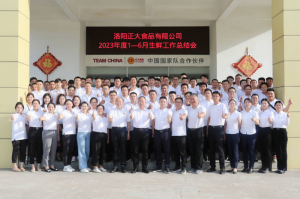 總結(jié)過(guò)去，計(jì)劃未來(lái)，協(xié)同創(chuàng)新，再創(chuàng)佳績(jī)！洛陽(yáng)正大舉行2023年上半年工作總結(jié)會(huì)議